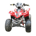 50CC, 90CC, 110CC ATV, cuads para Childre (ET-ATV007)